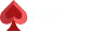 playzini logo